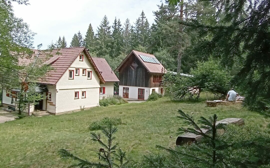 Erfolgreiches Familien-Camp im Schwarzwald mit Teilnehmern aus Karlsruhe