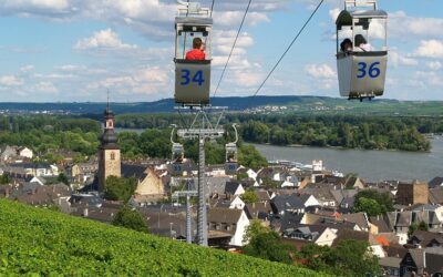 Sommerausflug für Eltern und Mitglieder