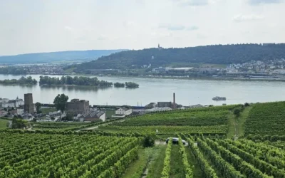 Unvergesslicher Sommerausflug des Harmonie Dialog- und Kulturzentrums: Ein Tag voller Entdeckungen und Gemeinschaft