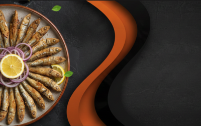 🐟 Einladung zum 13. Sardellen-Festival (Hamsi) & Wohltätigkeitsbasar